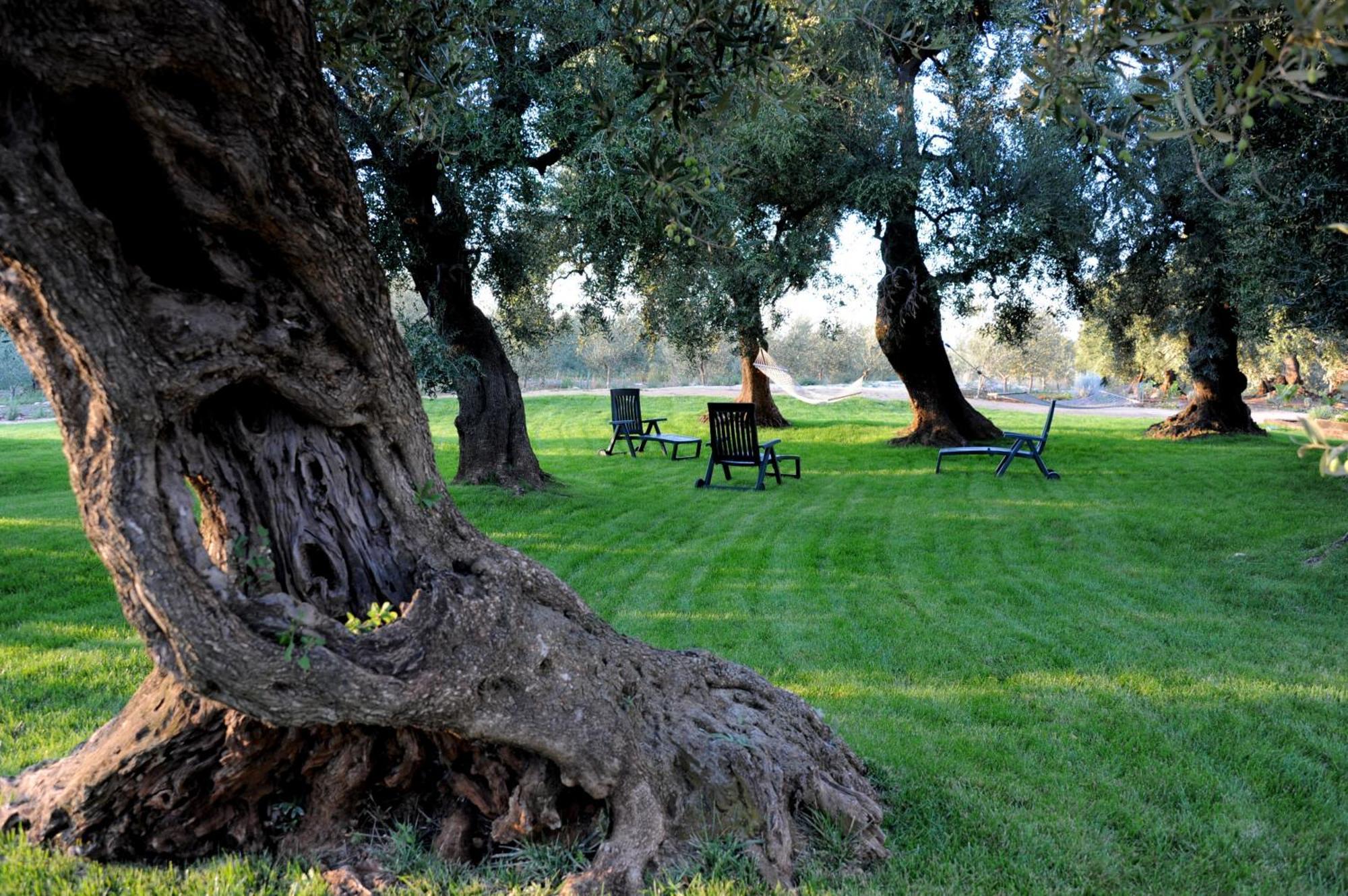 Masseria Lama Di Galizia Ostuni Exterior foto